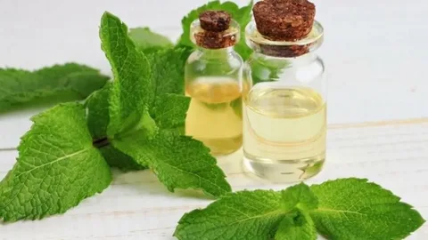 تصویر 3 از خرید عرق نعنا غلیظ + قیمت فروش استثنایی